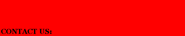 Text Box: CONTACT US:
